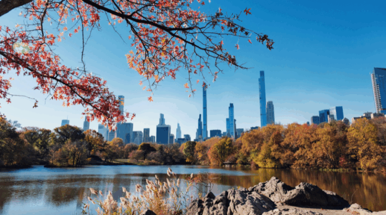 How Business Central Fits Into the Microsoft Ecosystem