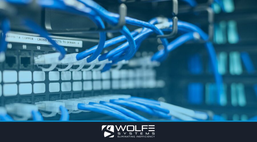 Blue plastic wires with white tips connected to server and provide access to information