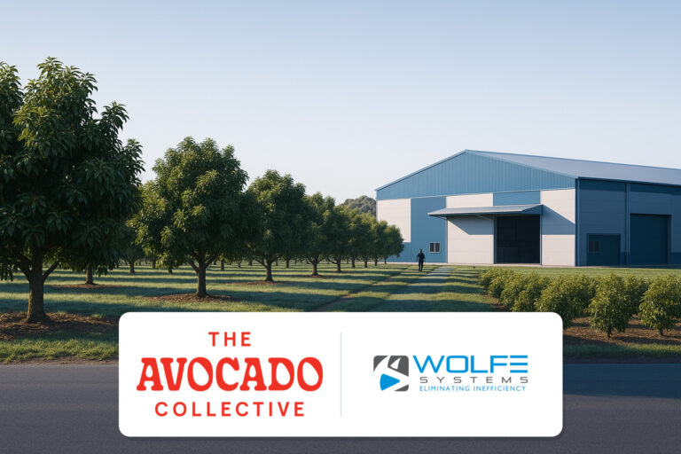 The Avocado Collective logo alongside the Wolfe Systems logo.