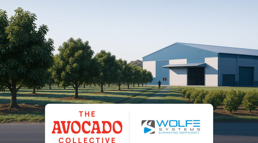 The Avocado Collective logo alongside the Wolfe Systems logo.